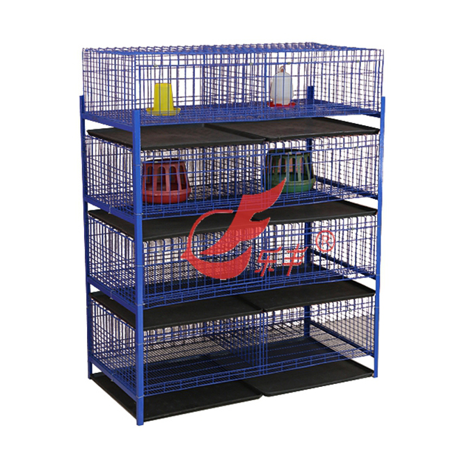 重型四层八位育雏育成鸡笼-绍兴乐丰笼具设备有限公司