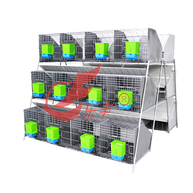 阶梯式二十四笼位兔笼-绍兴乐丰笼具设备有限公司