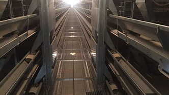 工程案例-绍兴乐丰笼具设备有限公司