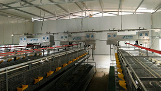 工程案例-绍兴乐丰笼具设备有限公司