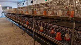 工程案例-绍兴乐丰笼具设备有限公司