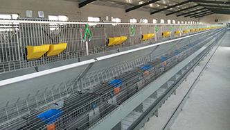 工程案例-绍兴乐丰笼具设备有限公司