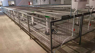 工程案例-绍兴乐丰笼具设备有限公司