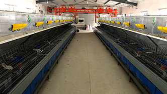 工程案例-绍兴乐丰笼具设备有限公司