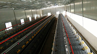 工程案例-绍兴乐丰笼具设备有限公司