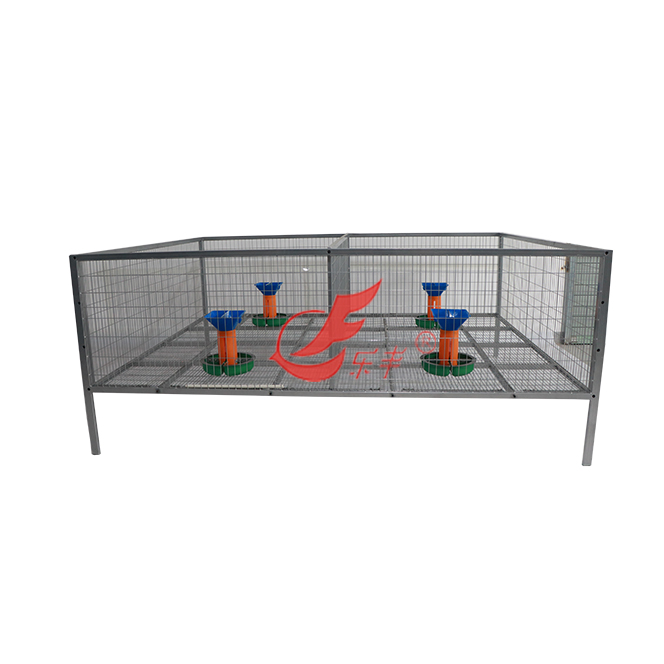 大型散养鸡笼-绍兴乐丰笼具设备有限公司