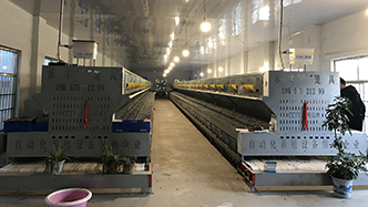 工程案例-绍兴乐丰笼具设备有限公司