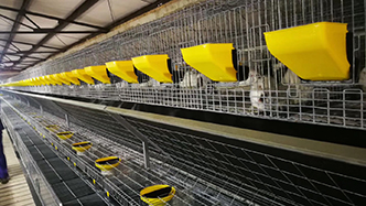 工程案例-绍兴乐丰笼具设备有限公司