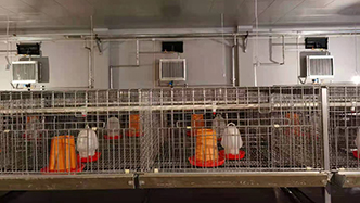 工程案例-绍兴乐丰笼具设备有限公司