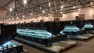 工程案例-绍兴乐丰笼具设备有限公司