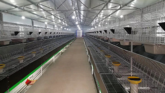 工程案例-绍兴乐丰笼具设备有限公司