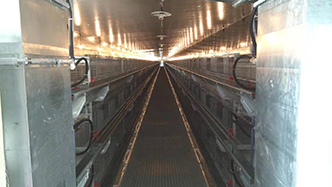 工程案例-绍兴乐丰笼具设备有限公司