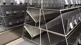 工程案例-绍兴乐丰笼具设备有限公司