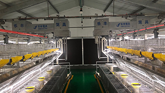 工程案例-绍兴乐丰笼具设备有限公司