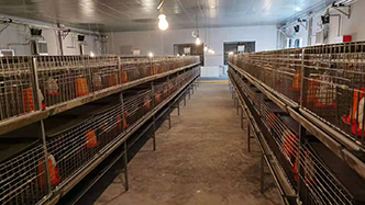 工程案例-绍兴乐丰笼具设备有限公司