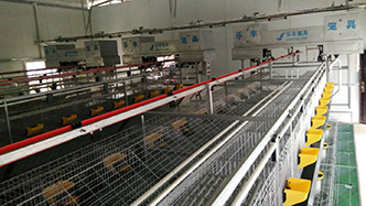 工程案例-绍兴乐丰笼具设备有限公司