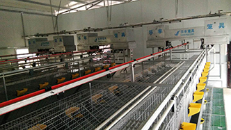 工程案例-绍兴乐丰笼具设备有限公司