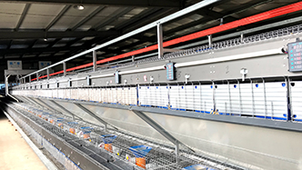 工程案例-绍兴乐丰笼具设备有限公司