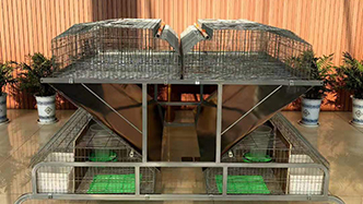 工程案例-绍兴乐丰笼具设备有限公司