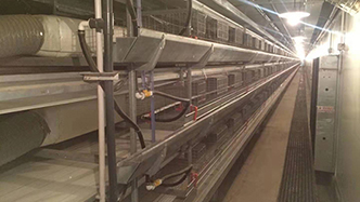 工程案例-绍兴乐丰笼具设备有限公司