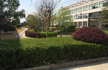 乐丰花园式厂区实景-绍兴乐丰笼具设备有限公司