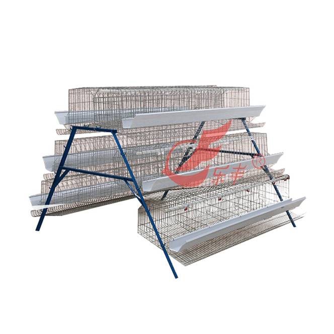 三层24位蛋鸡笼-绍兴乐丰笼具设备有限公司