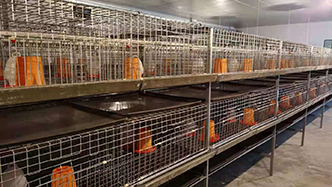 工程案例-绍兴乐丰笼具设备有限公司