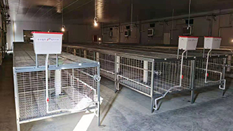 工程案例-绍兴乐丰笼具设备有限公司