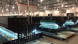 工程案例-绍兴乐丰笼具设备有限公司