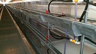 工程案例-绍兴乐丰笼具设备有限公司