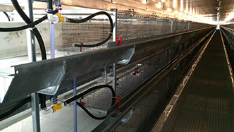 工程案例-绍兴乐丰笼具设备有限公司