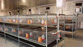 工程案例-绍兴乐丰笼具设备有限公司