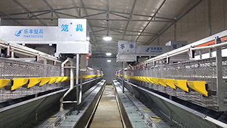 工程案例-绍兴乐丰笼具设备有限公司