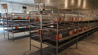 工程案例-绍兴乐丰笼具设备有限公司