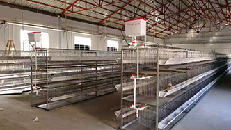 工程案例-绍兴乐丰笼具设备有限公司