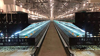 工程案例-绍兴乐丰笼具设备有限公司