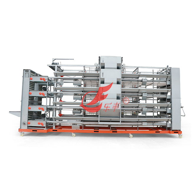 自动化蛋鸡笼-绍兴乐丰笼具设备有限公司