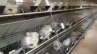 工程案例-绍兴乐丰笼具设备有限公司