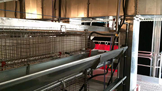 工程案例-绍兴乐丰笼具设备有限公司