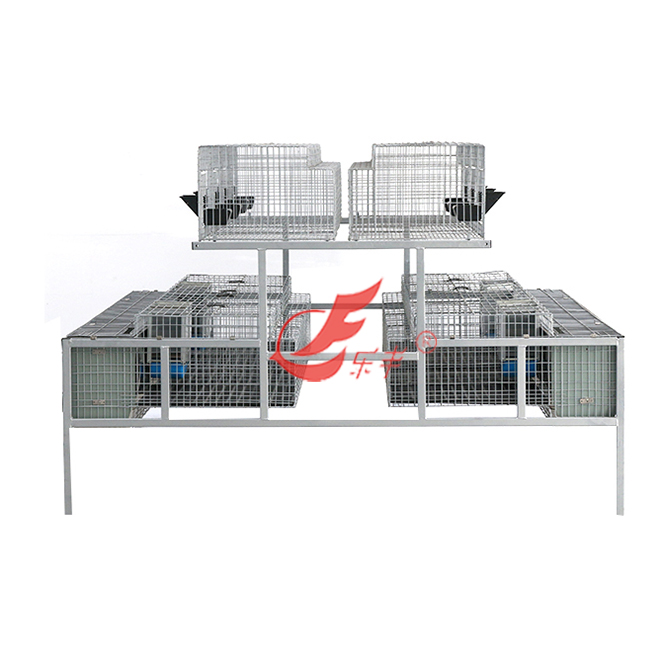 十六笼位品型免笼-绍兴乐丰笼具设备有限公司