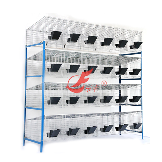 四层二十四位育肥笼-绍兴乐丰笼具设备有限公司