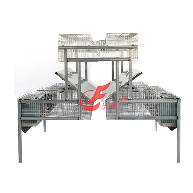 不锈钢二十四位品型兔笼-绍兴乐丰笼具设备有限公司
