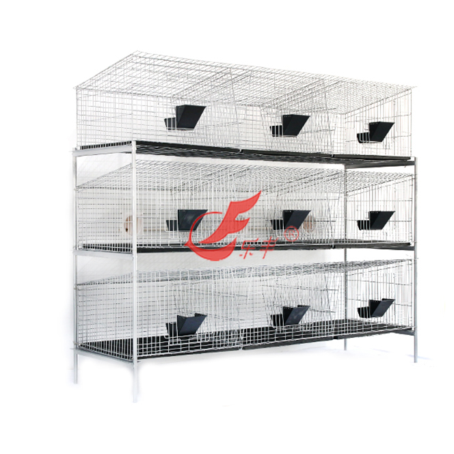 下抽底板式九笼位种免笼-绍兴乐丰笼具设备有限公司