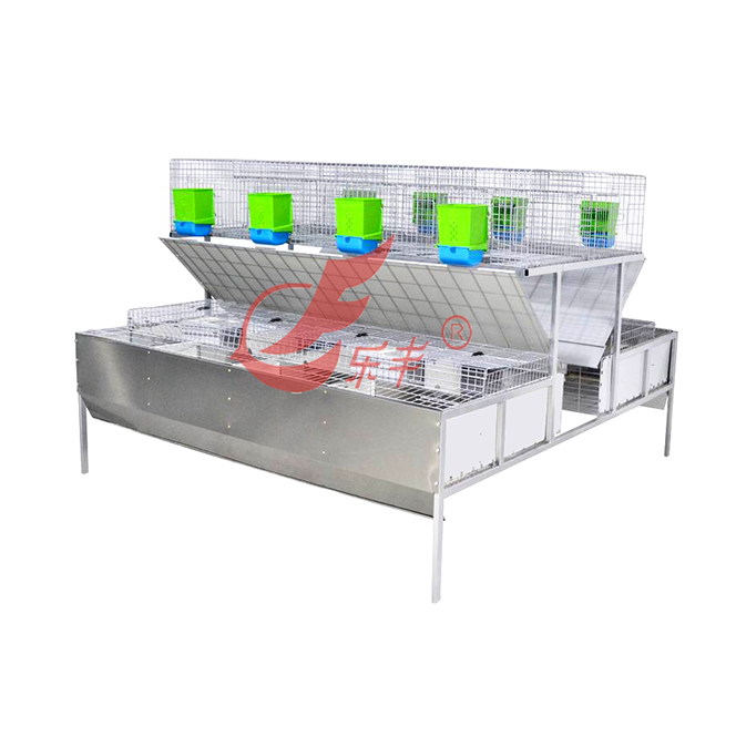 钢板隔断式十六笼位品型兔笼-绍兴乐丰笼具设备有限公司