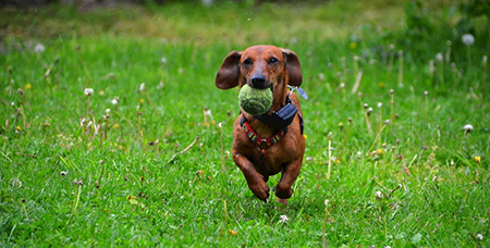 不锈钢实验笼具的生产制作工艺要这样来提升-绍兴乐丰笼具设备有限公司
