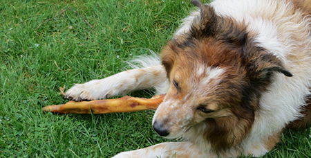 不锈钢实验笼具的品牌形象好不好，与这些因素有关-绍兴乐丰笼具设备有限公司