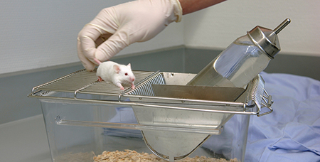 不锈钢豚鼠笼的良好性能由这些因素来支撑-绍兴乐丰笼具设备有限公司