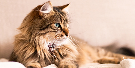 不锈钢实验笼具的价值要怎么提升？-绍兴乐丰笼具设备有限公司