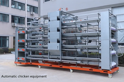 H型四层自动化蛋鸡笼-绍兴乐丰笼具设备有限公司